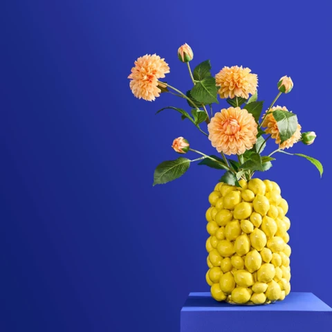 Lemons