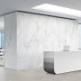 Florens Carrara 21 Preview