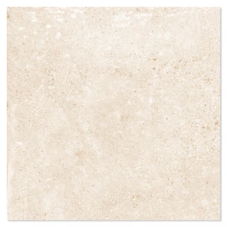 Klinker Portland Beige Mat 66x66 cm-2