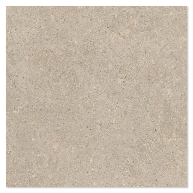 Klinker Kalksten Nord Mørk Beige Mat 120x120 cm-1