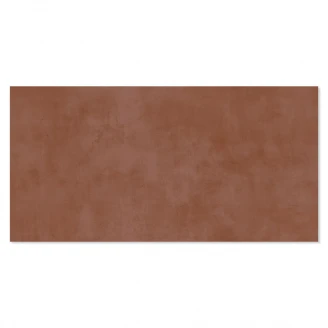 Klinker Delicate Brun Mat 30x60 cm-2