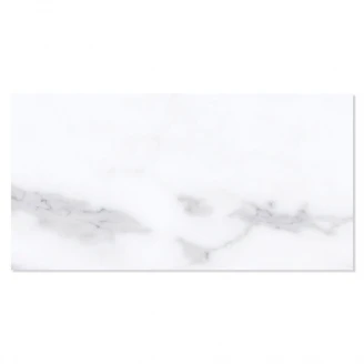 Marmor Klinker Michelangelo Carrara Hvid Mat 60x120 cm-2