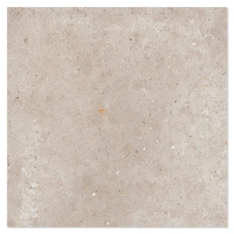 Ariana Klinker Anima Beige Mat 120x120 cm-2