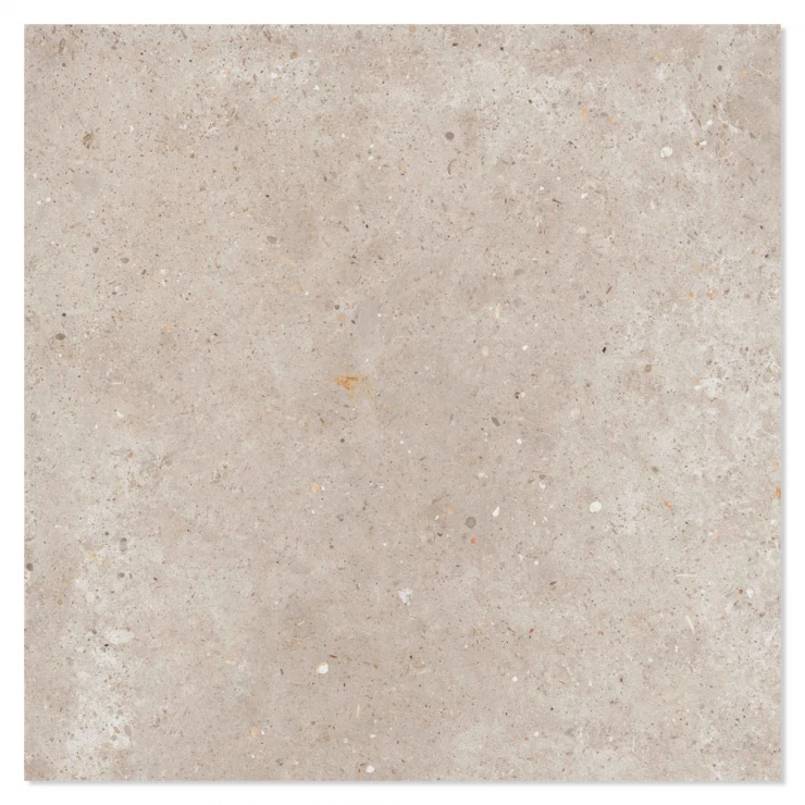 Ariana Klinker Anima Beige Mat 120x120 cm-1