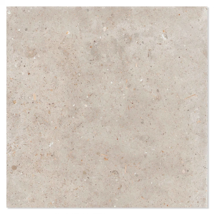 Ariana Klinker Anima Beige Mat 120x120 cm-0