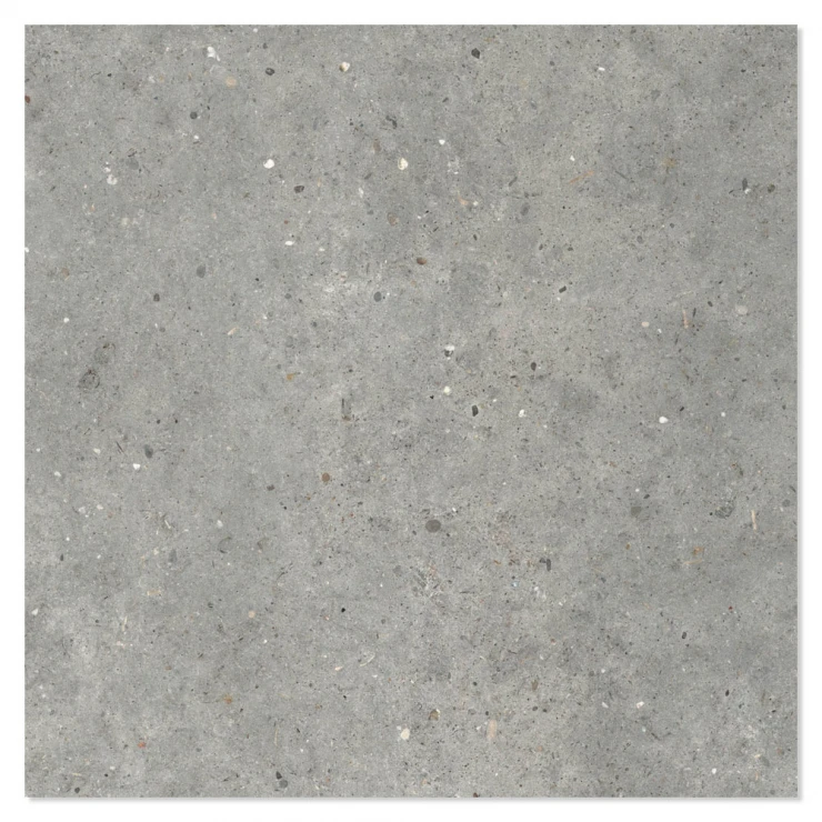 Ariana Klinker Anima Grigio Mat 80x80 cm-1