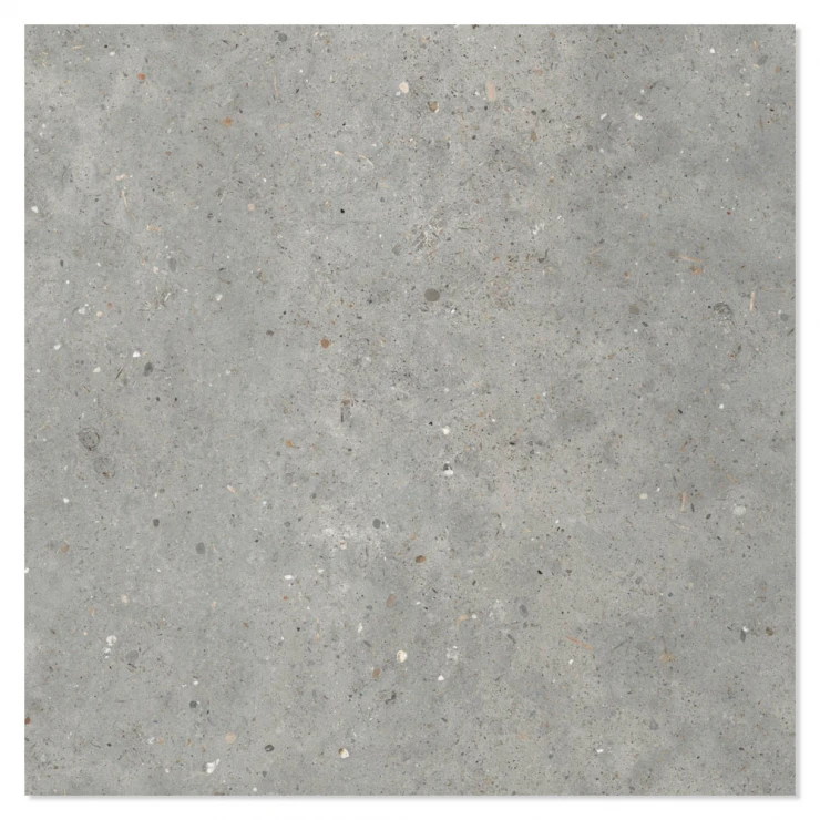 Ariana Klinker Anima Grigio Mat 80x80 cm-0