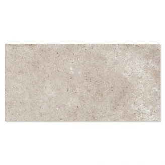 Ariana Klinker Anima Beige Mat 60x120 cm-2