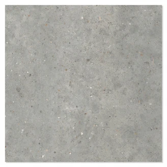 Ariana Klinker Anima Grigio Skridsikre 60x60 cm-2