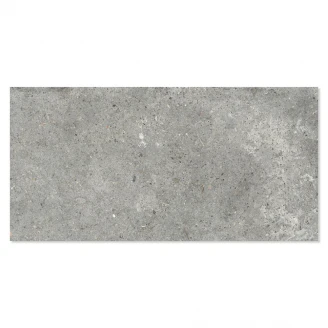 Ariana Klinker Anima Grigio Mat 30x60 cm-2