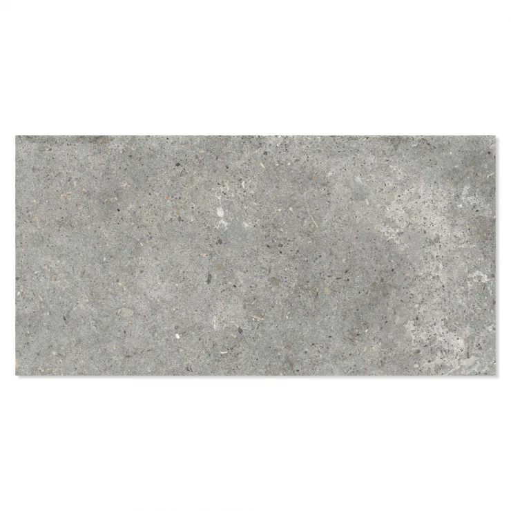 Ariana Klinker Anima Grigio Mat 30x60 cm-1