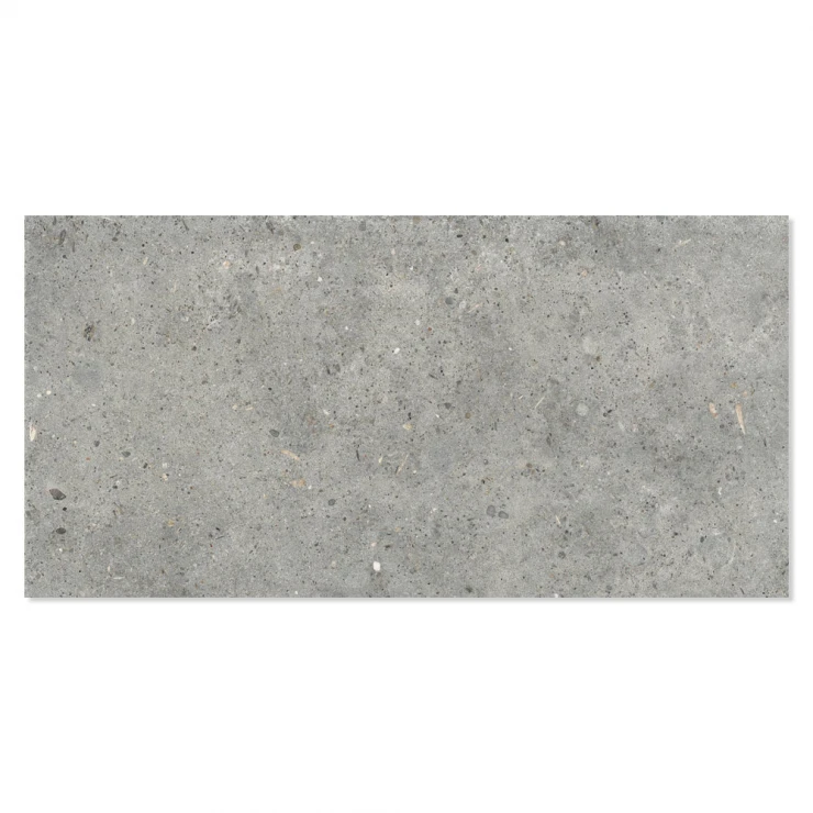 Ariana Klinker Anima Grigio Mat 30x60 cm-0