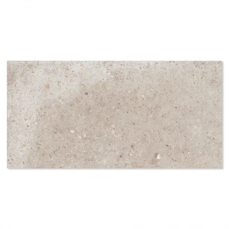 Ariana Klinker Anima Beige Mat 30x60 cm-2