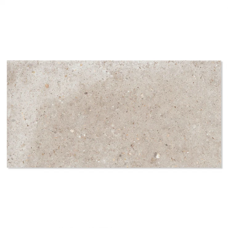 Ariana Klinker Anima Beige Mat 30x60 cm-1