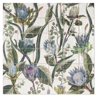 Mainzu Vægflise Livorno Vægmaleri Protea Blank 120x120 cm-2