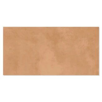 Klinker Delicate Orange Mat 30x60 cm-2