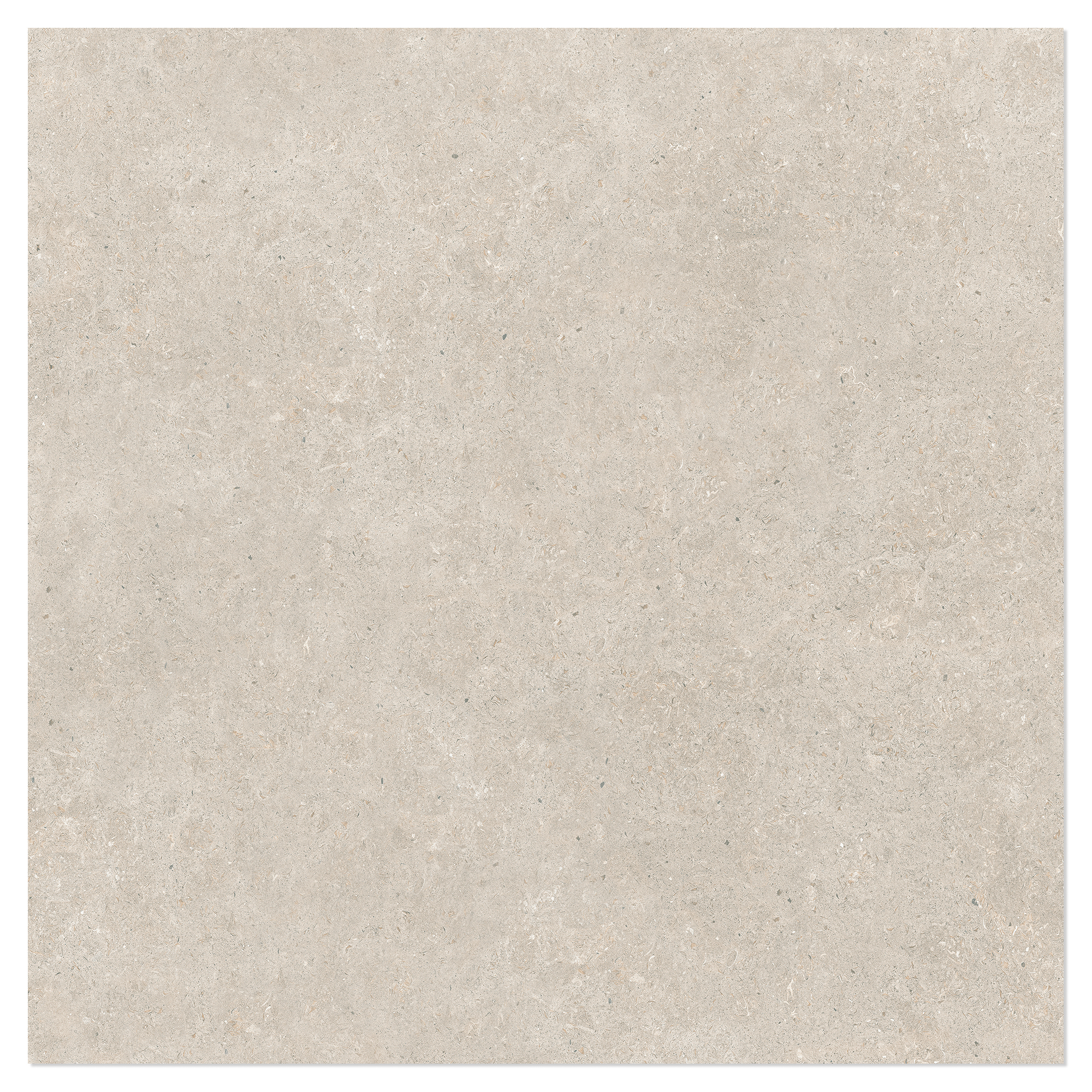 Klinker Kalksten Nord Beige Poleret 100x100 cm