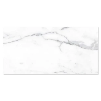 Marmor Klinker Michelangelo Carrara Hvid Mat 30x60 cm-2