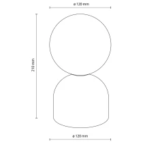 INTK1054-6