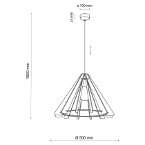 INTK1381-6