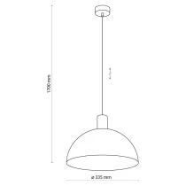 INTK1598-7