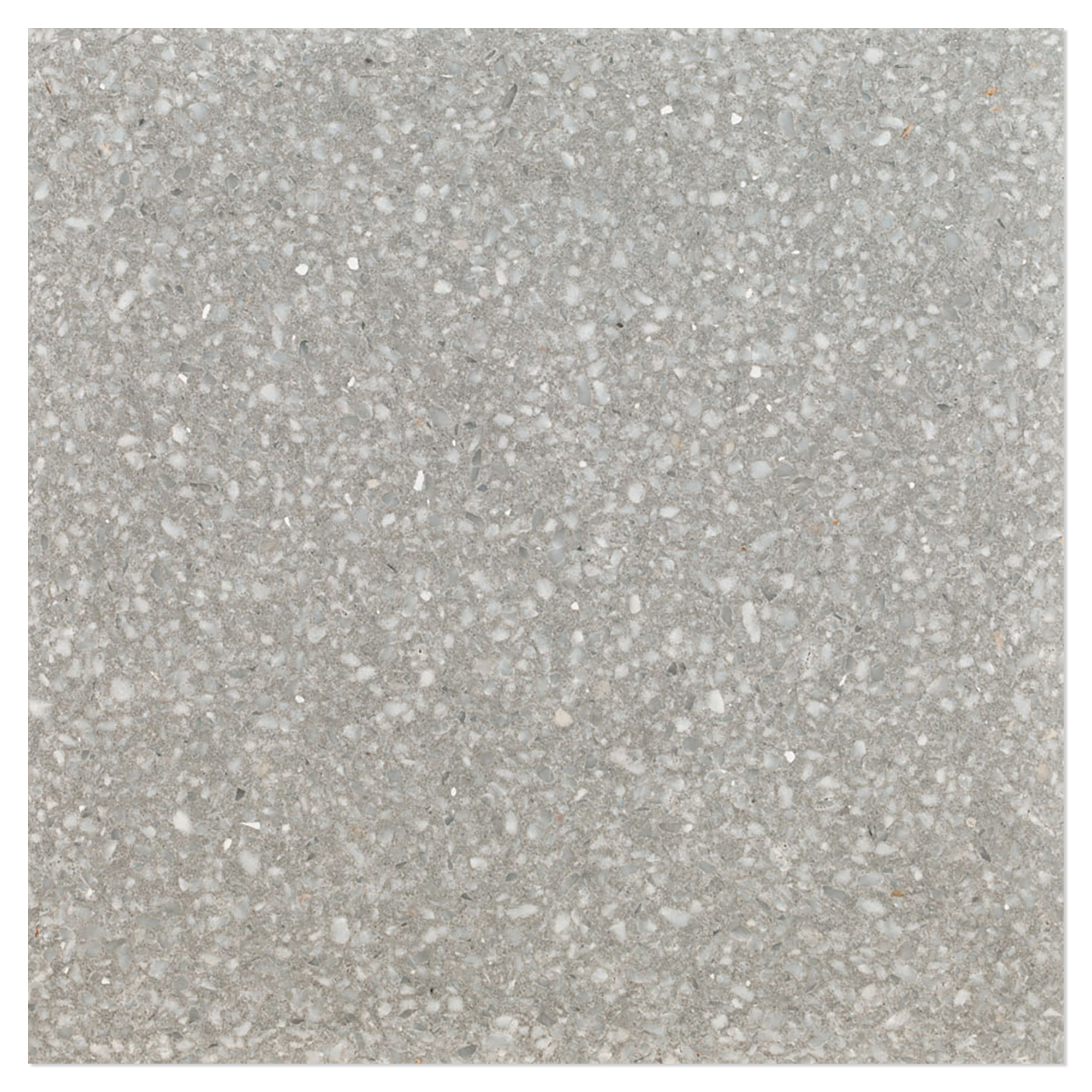 Terrazzo Graniglia Grigio Perla Mat 20x20 cm