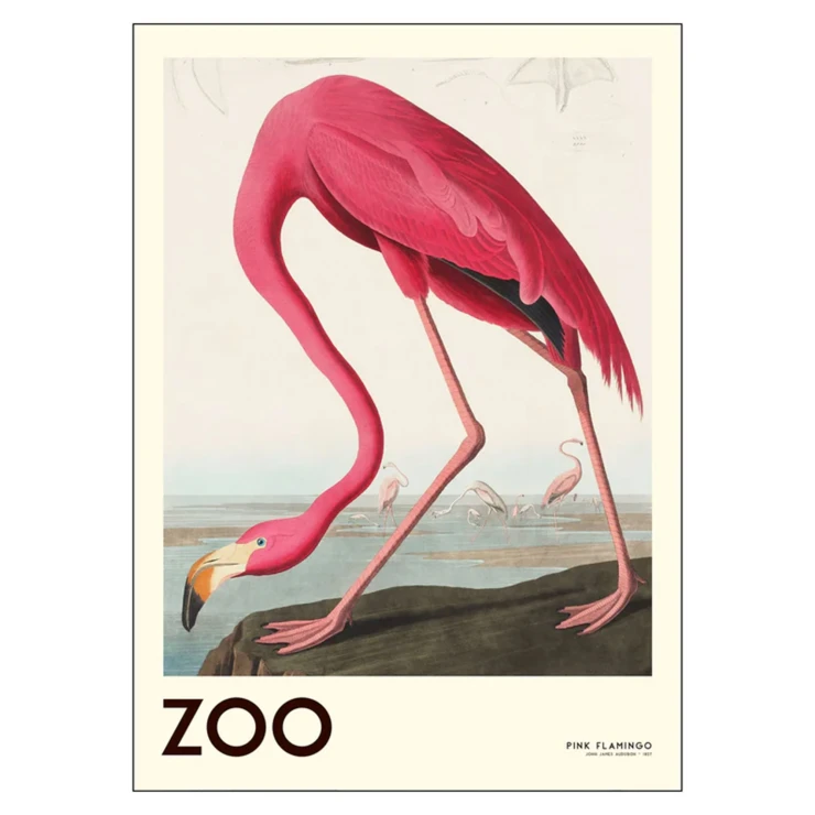 Poster A.P. Atelier the Zoo Collection Pink Flamingo Edt. 001 30x40 cm-0