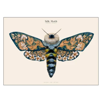 Poster PSTR Studio Matos Silk Moths no. 13 70x100 cm