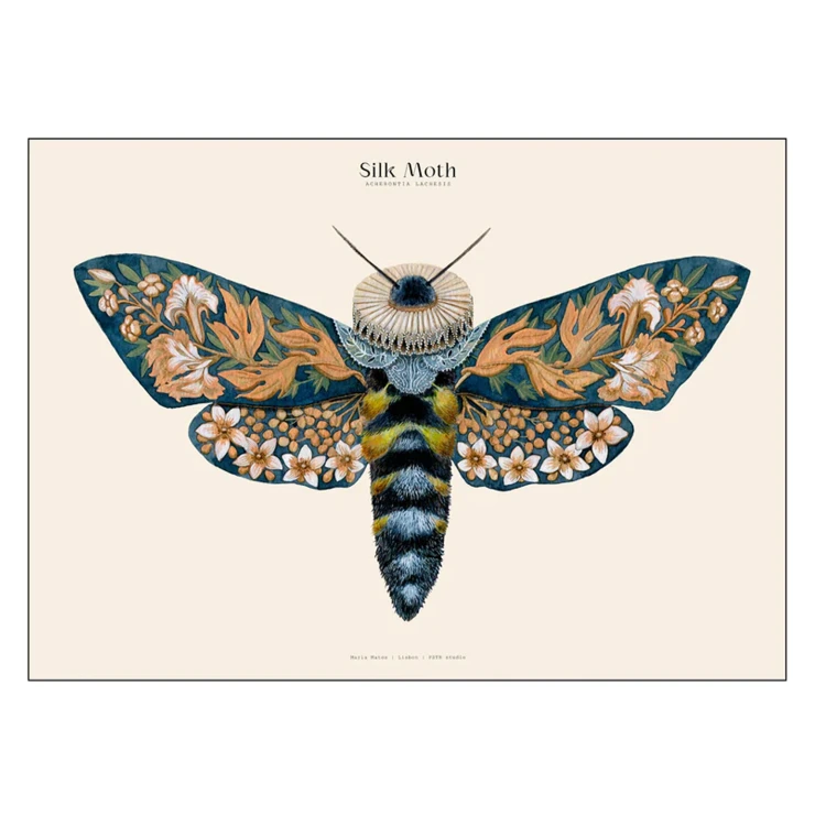 Poster PSTR Studio Matos Silk Moths no. 13 70x100 cm-0