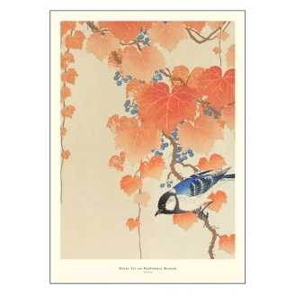 Poster A.P. Atelier Great Tit on Paulownia Branch 50x70 cm