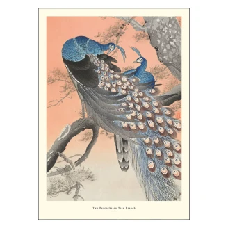 Poster A.P. Atelier Two Peacocks on Tree Branch 50x70 cm