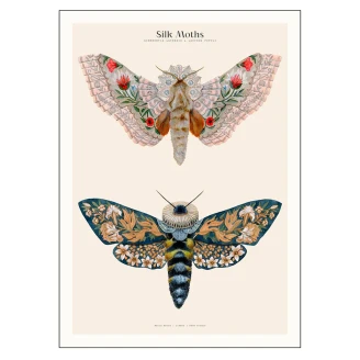 Poster PSTR Studio Matos Silk Moths no. 03 50x70 cm