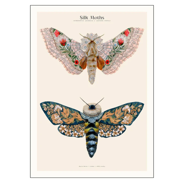 Poster PSTR Studio Matos Silk Moths no. 03 50x70 cm-0