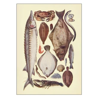 Poster Mrs. Beeton Fish ll 30x40 cm