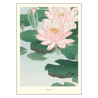 Poster A.P. Atelier Water Lily 30x40 cm