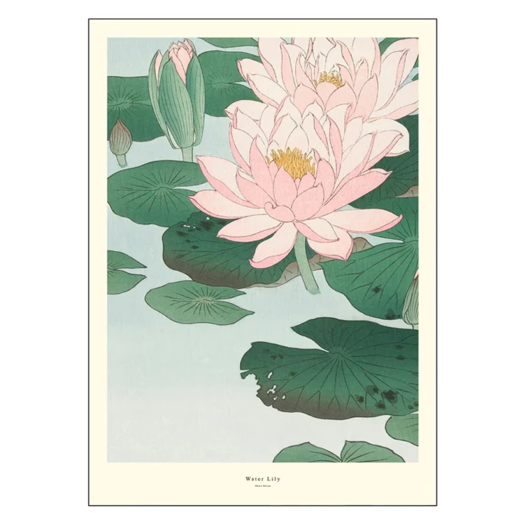 Poster A.P. Atelier Water Lily 30x40 cm-0