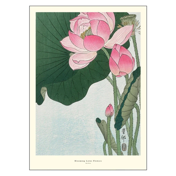 Poster A.P. Atelier Blooming Lotus Flowers 30x40 cm-0