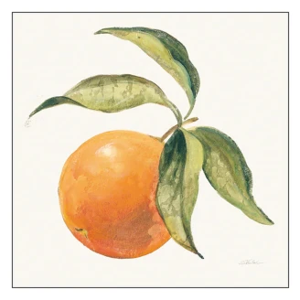 Poster Wild Apple Le Orange on Cream 100x100 cm