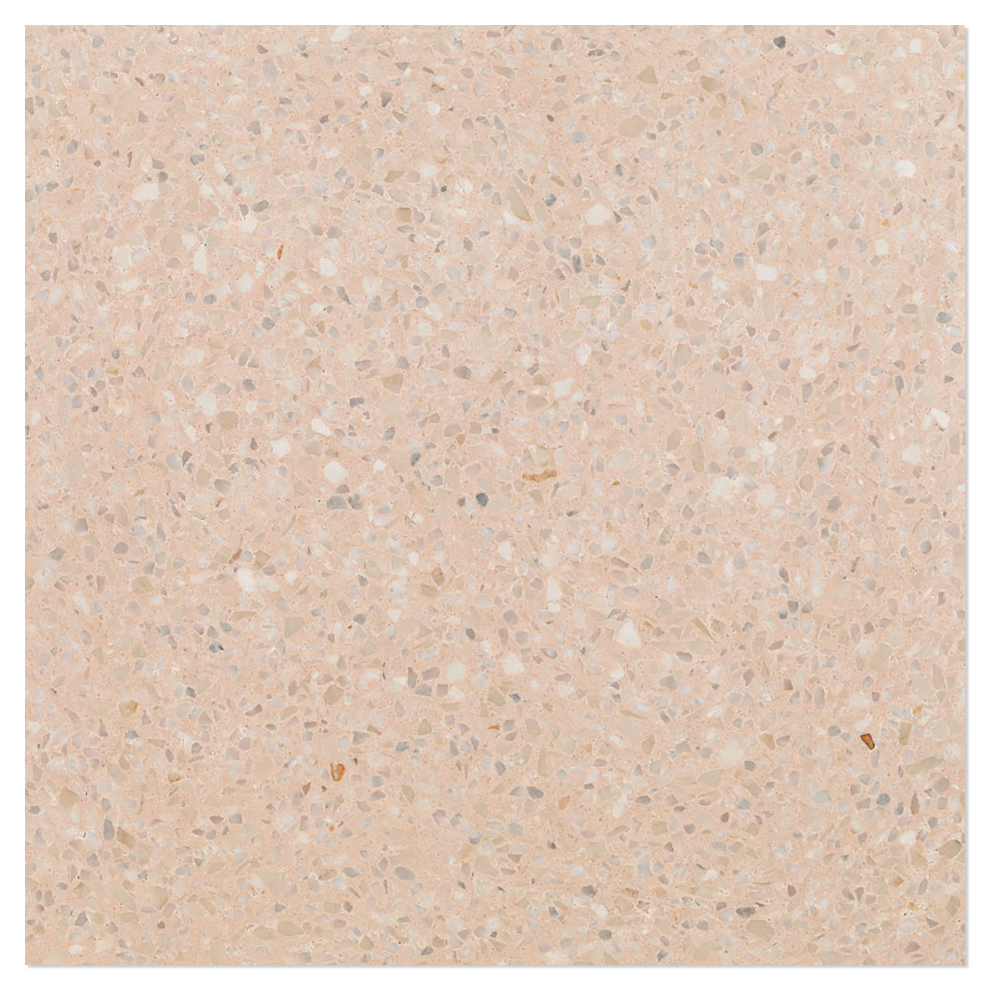 Terrazzo Graniglia Avorio Mat 20x20 cm