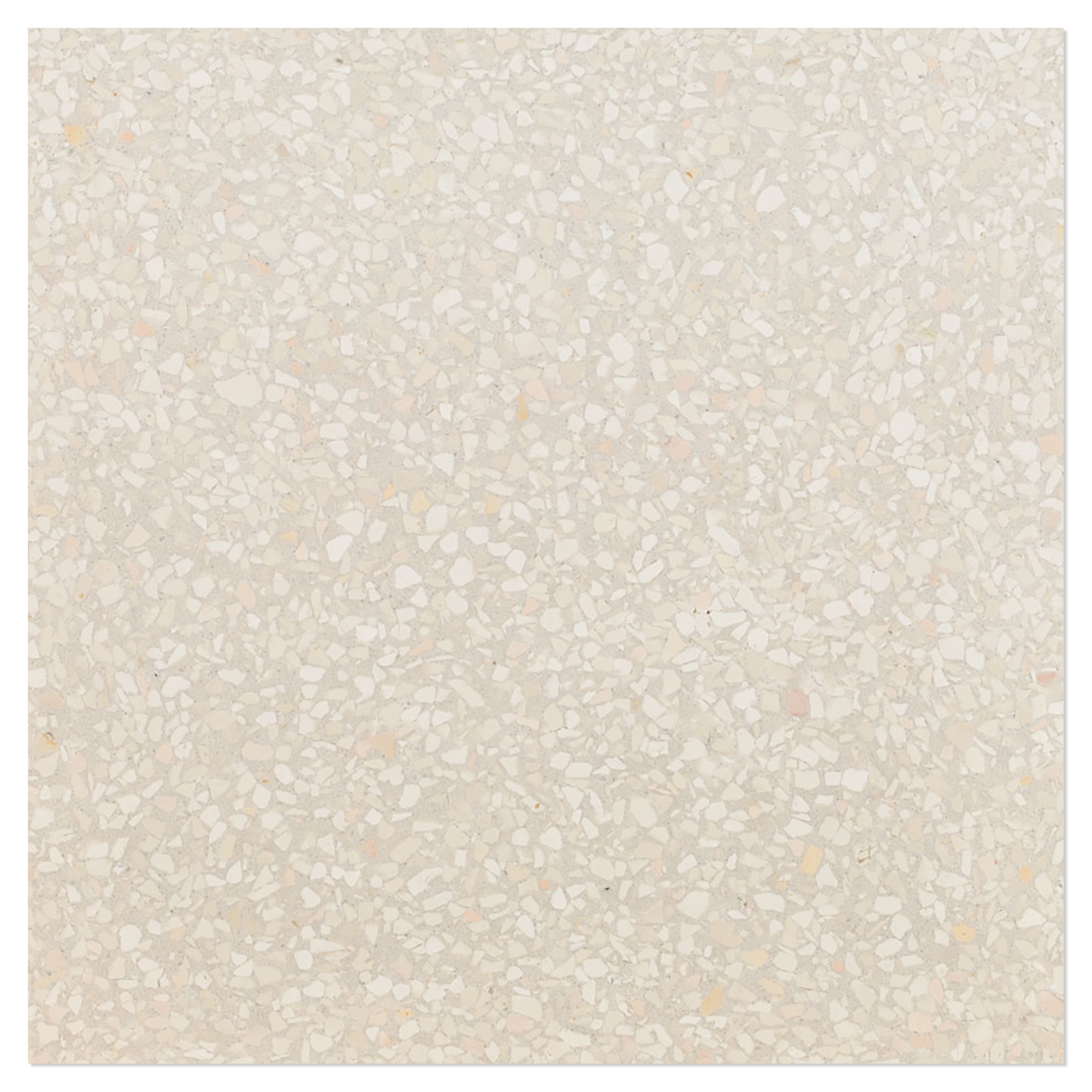 Terrazzo Graniglia Avorio Chiaro Mat 20x20 cm