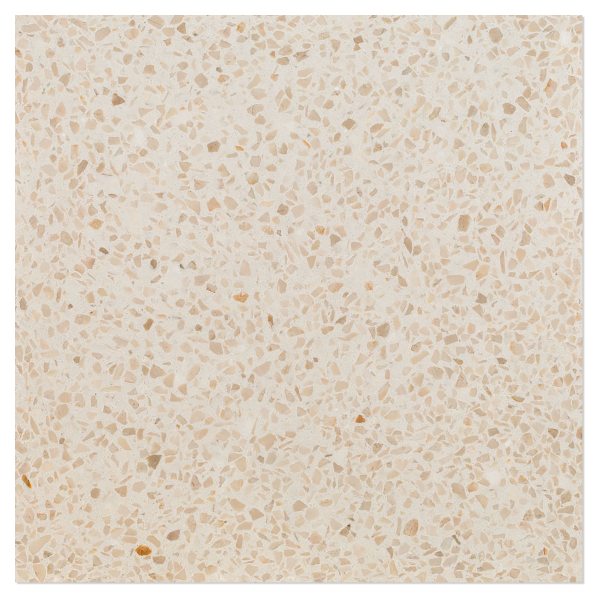 Terrazzo Graniglia Botticino Mat 20x20 cm