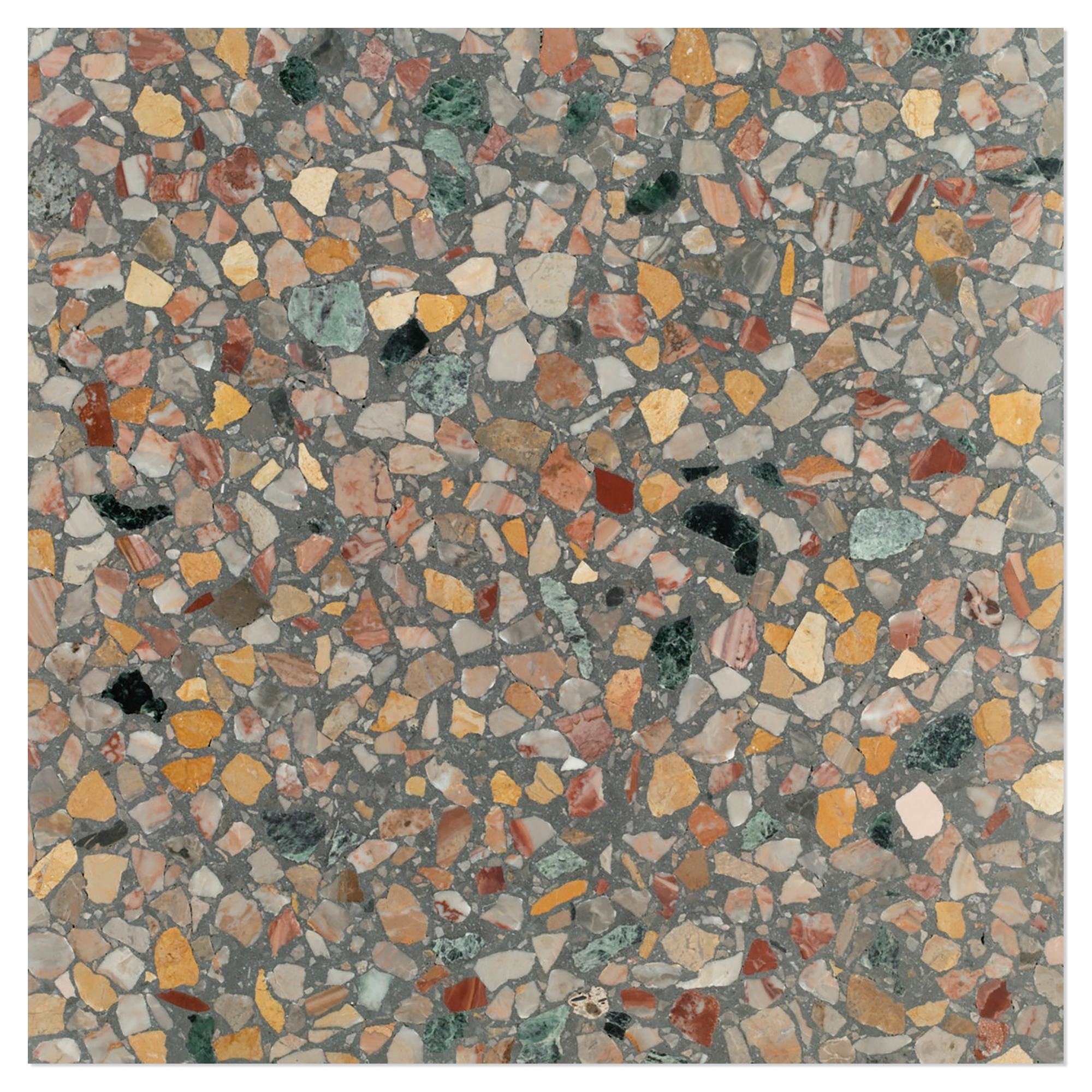 Terrazzo Gra Veneziana Arcobaleno Poleret 40x40 cm