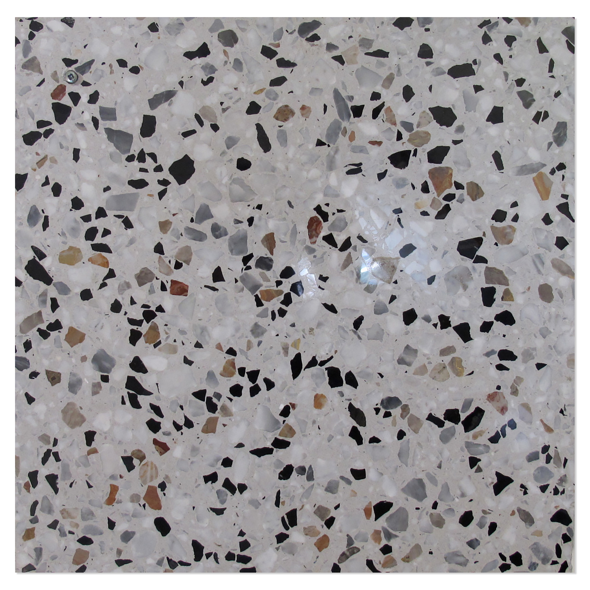 Terrazzo Gra Veneziana Grigio Venato Poleret 40x40 cm