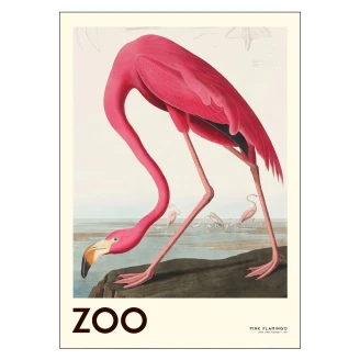 Poster A.P. Atelier the Zoo Collection Pink Flamingo Edt. 001 30x40 cm-2