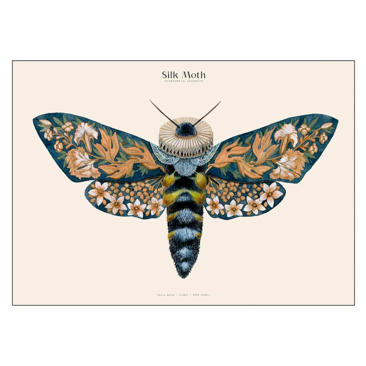 Poster PSTR Studio Matos Silk Moths no. 13 70x100 cm-0