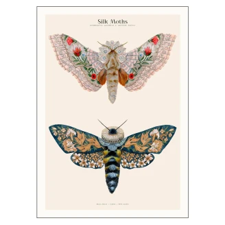 Poster PSTR Studio Matos Silk Moths no. 03 50x70 cm-2