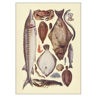 Poster Mrs. Beeton Fish ll 50x70 cm-2