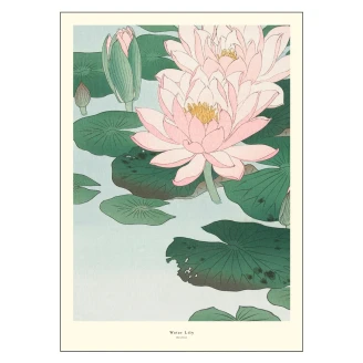 Poster A.P. Atelier Water Lily 30x40 cm-2