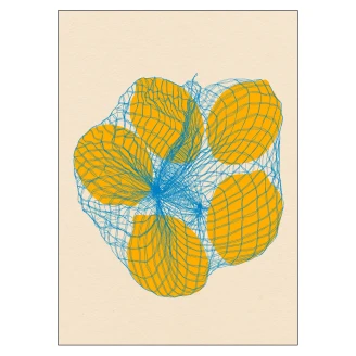 Poster Rosi Feist Five Lemons in a Net Bag 30x40 cm-2