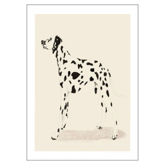 Poster Jenny Liz Rome Dalmation 30x40 cm-2